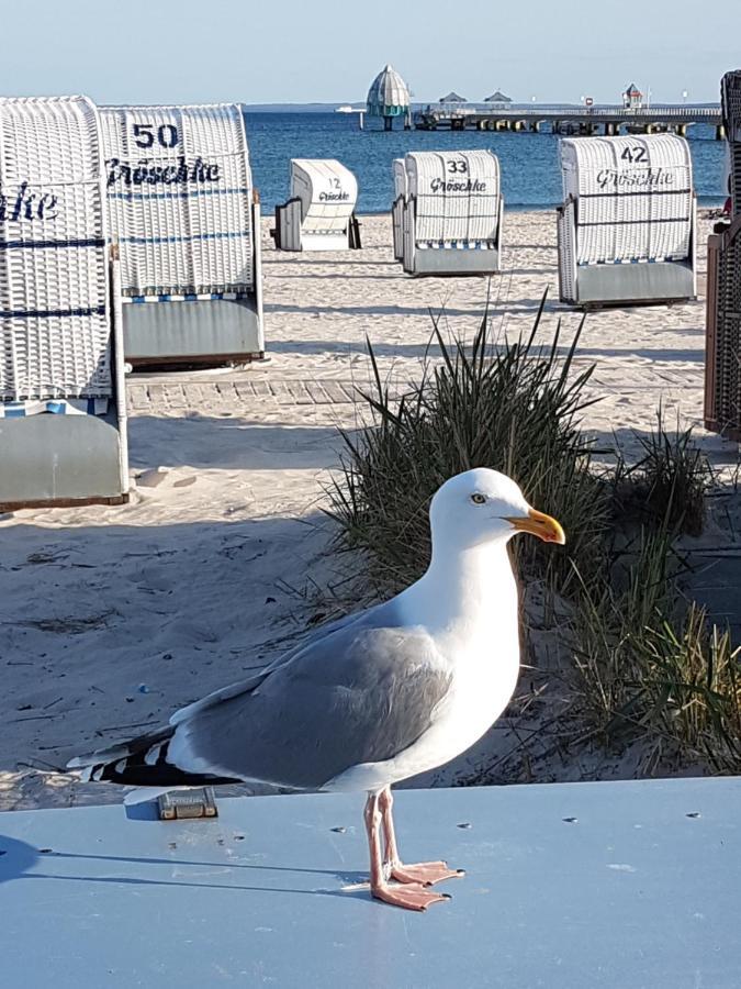 Ferienwohnung Ferien auf zwei Ebenen in der Möwenkoje Grömitz Exterior foto